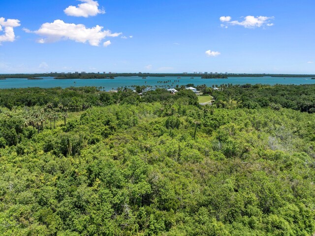water view with a wooded view