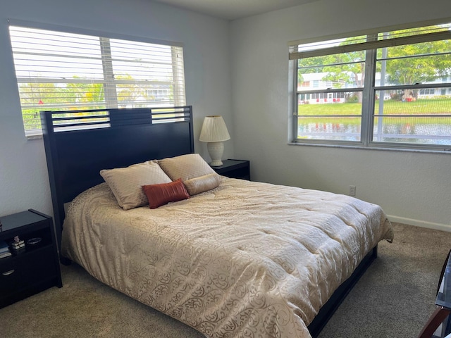 181 Ellesmere D Unit 181, Deerfield Beach, FL 33442 - bedroom with carpet flooring and multiple windows
