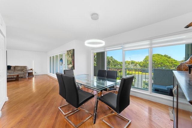 4301 N Ocean Blvd Unit 203, Boca Raton, FL 33431 - dining room featuring light wood-style flooring, a healthy amount of sunlight, and baseboards