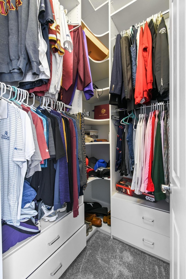 869 SW Habitat Ln, Palm City, FL 34990 - spacious closet with carpet flooring