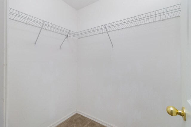 3325 Burdock Ave, Melbourne, FL 32904 - walk in closet with carpet flooring