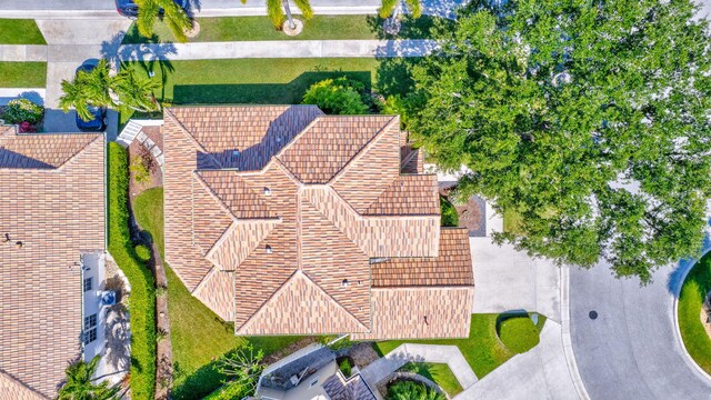 drone / aerial view