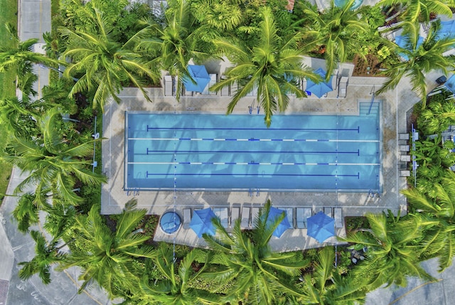 bird's eye view