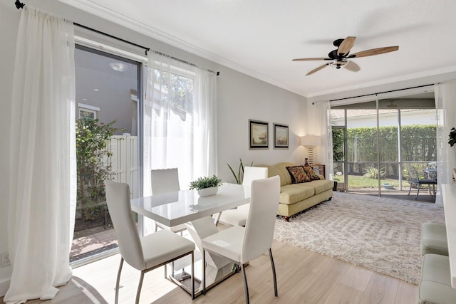 dining space featuring light wood-style floors, crown molding, and ceiling fan