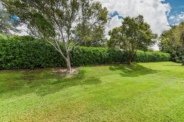 11654 Caracas Blvd, Boynton Beach, FL 33437 - view of yard