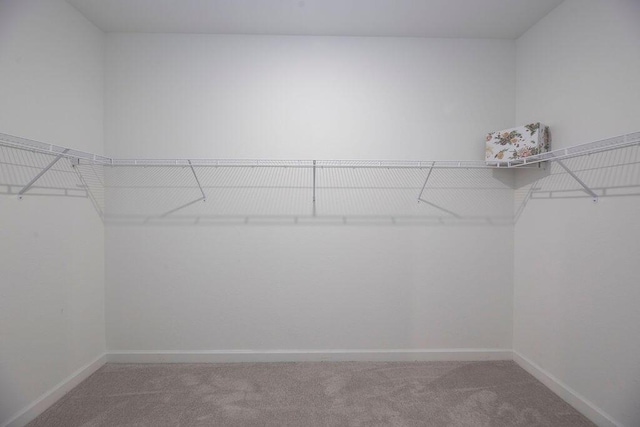 7568 NW Deysbrook Ln, Port Saint Lucie, FL 34987 - walk in closet with carpet flooring
