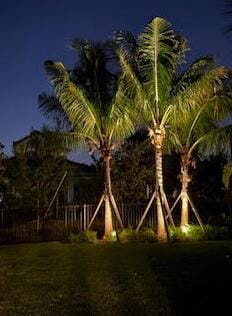12408 Banner Ct, Palm Beach Gardens, FL 33412 - view of green lawn