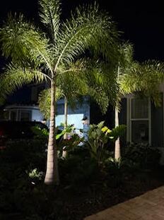 12408 Banner Ct, Palm Beach Gardens, FL 33412 - view of side of property