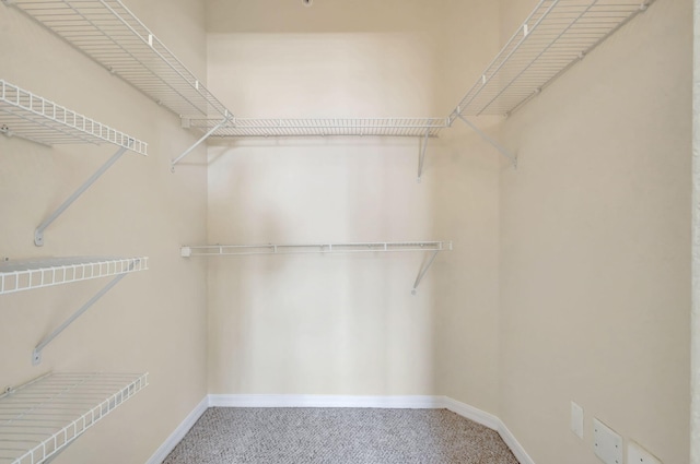 11039 Legacy Blvd Unit 203, Palm Beach Gardens, FL 33410 - walk in closet with carpet flooring