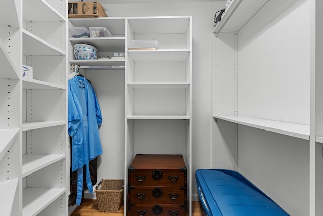 walk in closet featuring wood finished floors