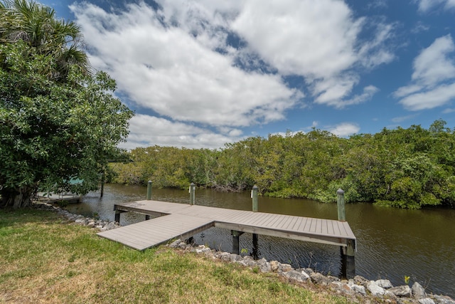 dock area featuring a water view