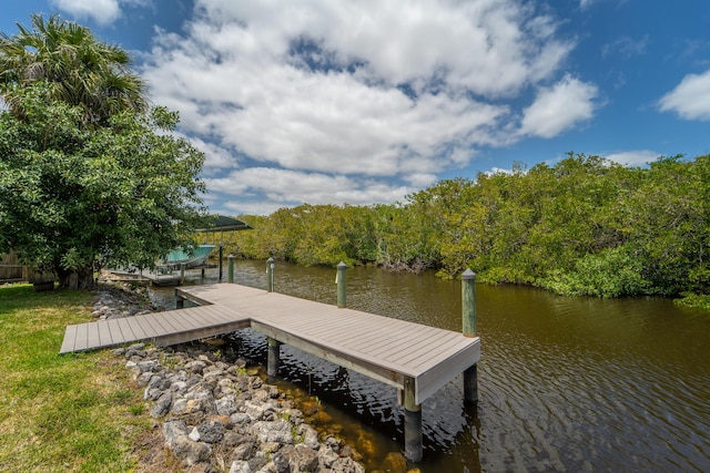 dock area with a water view