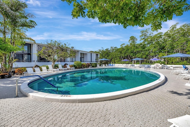 3589 S Ocean Blvd Unit 509, South Palm Beach, FL 33480 - community pool featuring a patio
