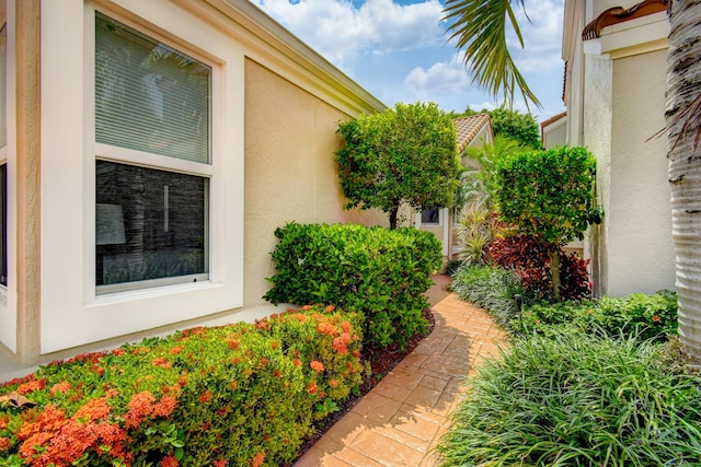 view of property exterior with stucco siding