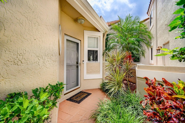 doorway to property featuring stucco siding