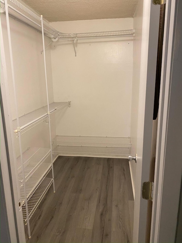 walk in closet with wood finished floors