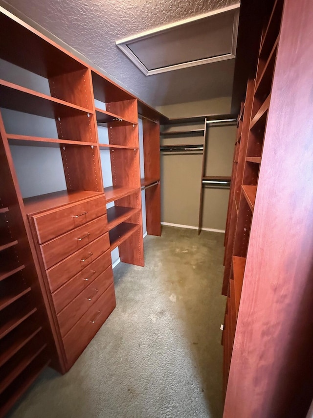 walk in closet with carpet