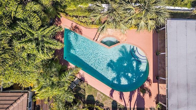 bird's eye view