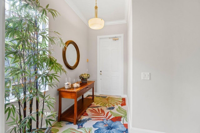 entryway with baseboards and ornamental molding