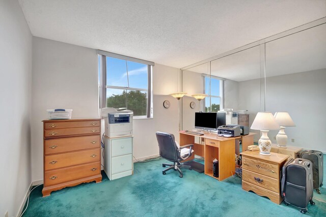 5910 Morningstar Cir Unit 401, Delray Beach, FL 33484 - carpeted office with baseboards