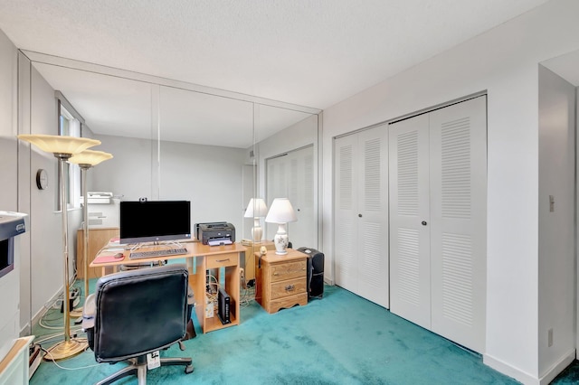 5910 Morningstar Cir Unit 401, Delray Beach, FL 33484 - home office with carpet