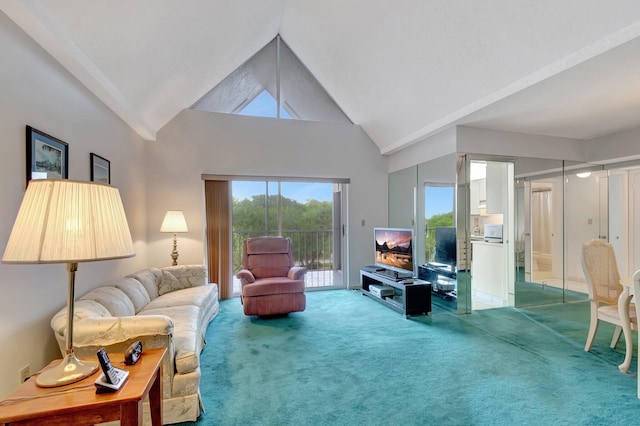 5910 Morningstar Cir Unit 401, Delray Beach, FL 33484 - living area with carpet and high vaulted ceiling