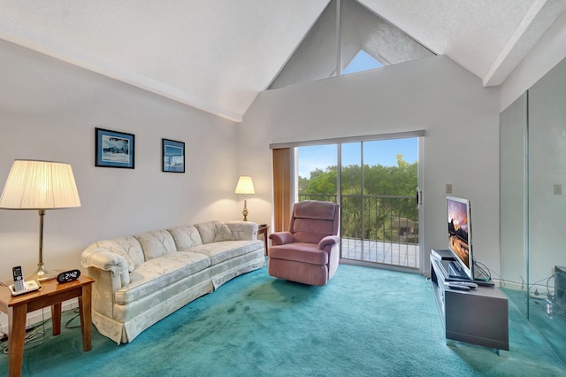 5910 Morningstar Cir Unit 401, Delray Beach, FL 33484 - carpeted living area with high vaulted ceiling