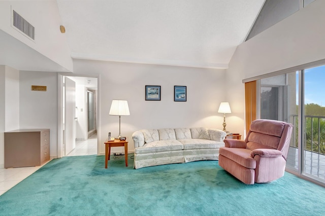 5910 Morningstar Cir Unit 401, Delray Beach, FL 33484 - living area with lofted ceiling, carpet floors, and visible vents