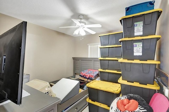 storage with ceiling fan