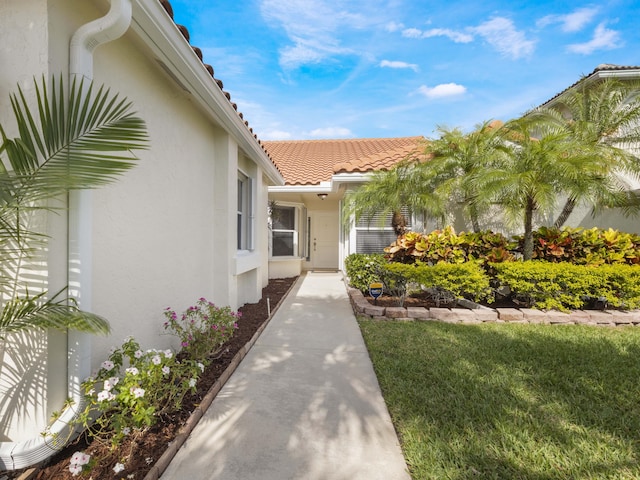 view of exterior entry with a tile roof and stucco siding