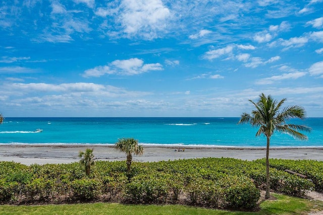 water view featuring a beach view