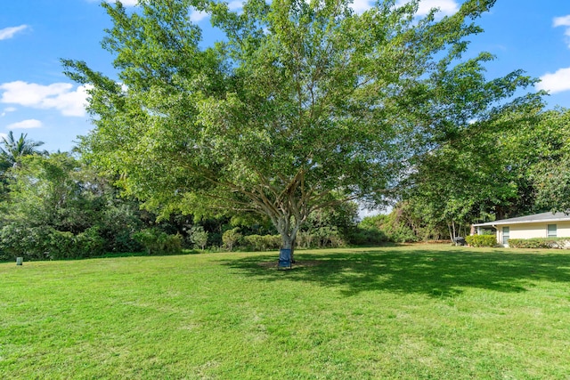 13756 Via Flora Unit A, Delray Beach, FL 33484 - view of yard