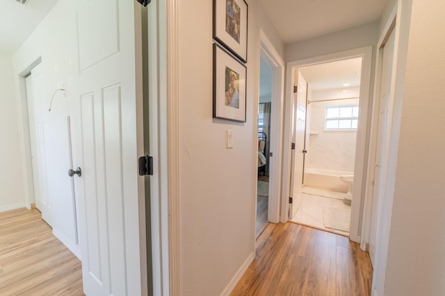 2675 SW 24th Ave, Okeechobee, FL 34974 - hallway with light wood finished floors and baseboards