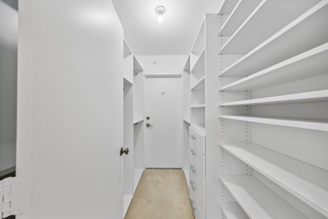 1370 S Ocean Blvd Unit 1808, Pompano Beach, FL 33062 - spacious closet featuring light colored carpet