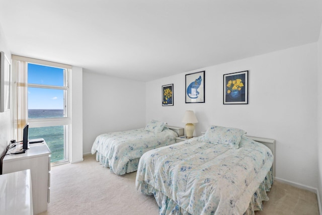 bedroom featuring carpet floors, a water view, and baseboards