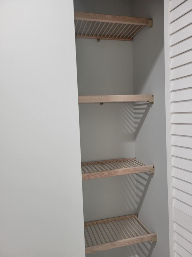 view of closet