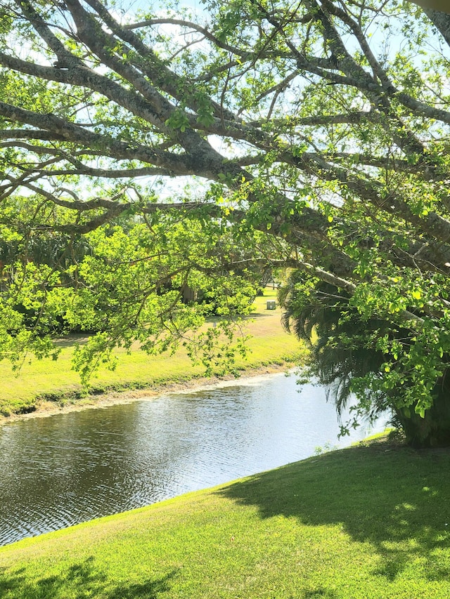 water view