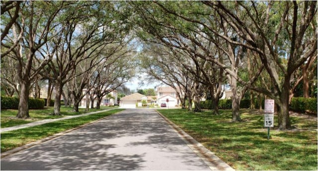 view of road featuring curbs