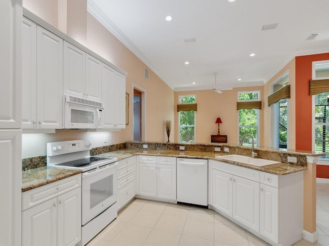 kitchen with white appliances, ornamental molding, a wealth of natural light, and a sink