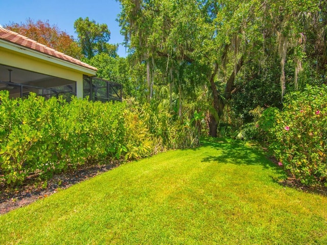 view of yard