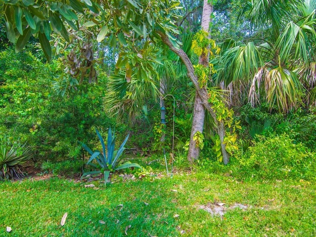 view of nature