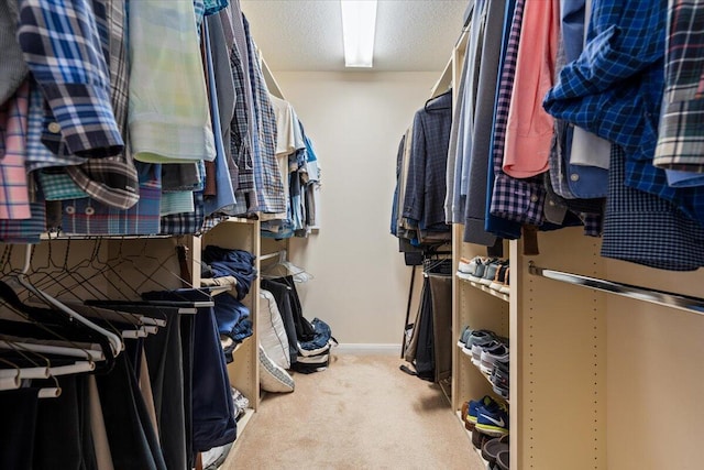 8365 SE Double Tree Dr, Hobe Sound, FL 33455 - spacious closet with carpet flooring