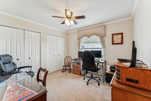 376 SW Quiet Woods, Port Saint Lucie, FL 34953 - office space with a ceiling fan, light carpet, and ornamental molding