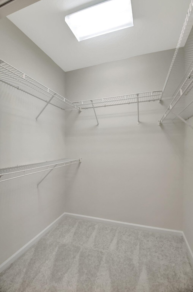 spacious closet featuring carpet