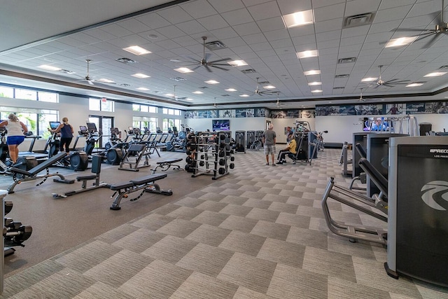 13509 SW Oceanus Blvd, Port Saint Lucie, FL 34987 - gym with healthy amount of natural light, a paneled ceiling, a ceiling fan, and carpet