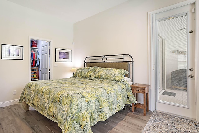 bedroom featuring baseboards, a closet, wood finished floors, and a spacious closet