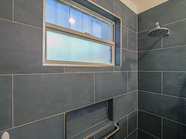1732 Sunrise Ln, Sebastian, FL 32958 - bathroom with tiled shower