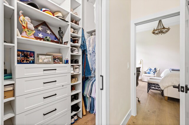 2441 NW 64th St, Boca Raton, FL 33496 - spacious closet with light wood-style floors