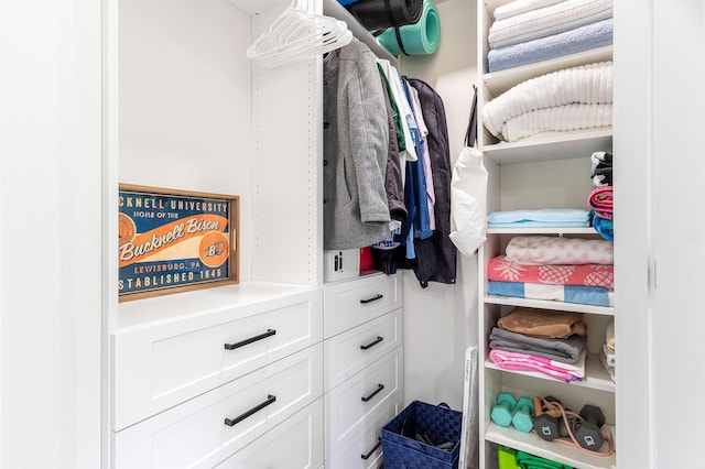 2441 NW 64th St, Boca Raton, FL 33496 - view of spacious closet