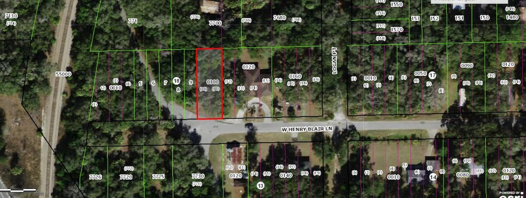 1789 W Henry Blair Ln, Dunnellon, FL 34434